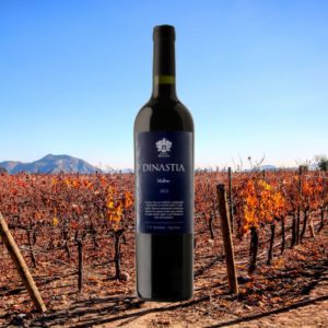 Malbec Organico Bodegas Molina