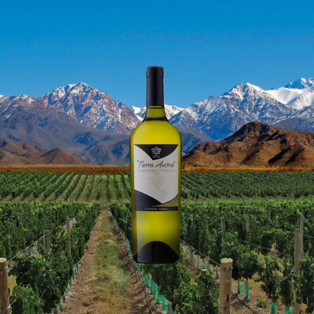 Tierra Austral blend de blancas